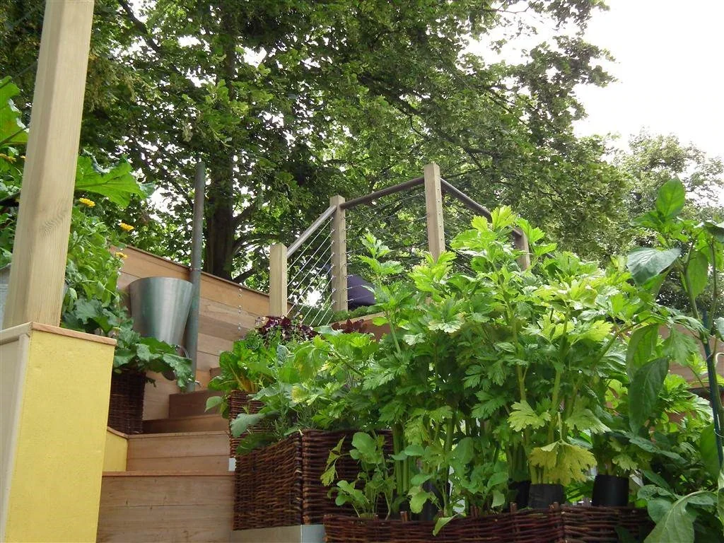 5 a day garden   edible as well as attractive 1